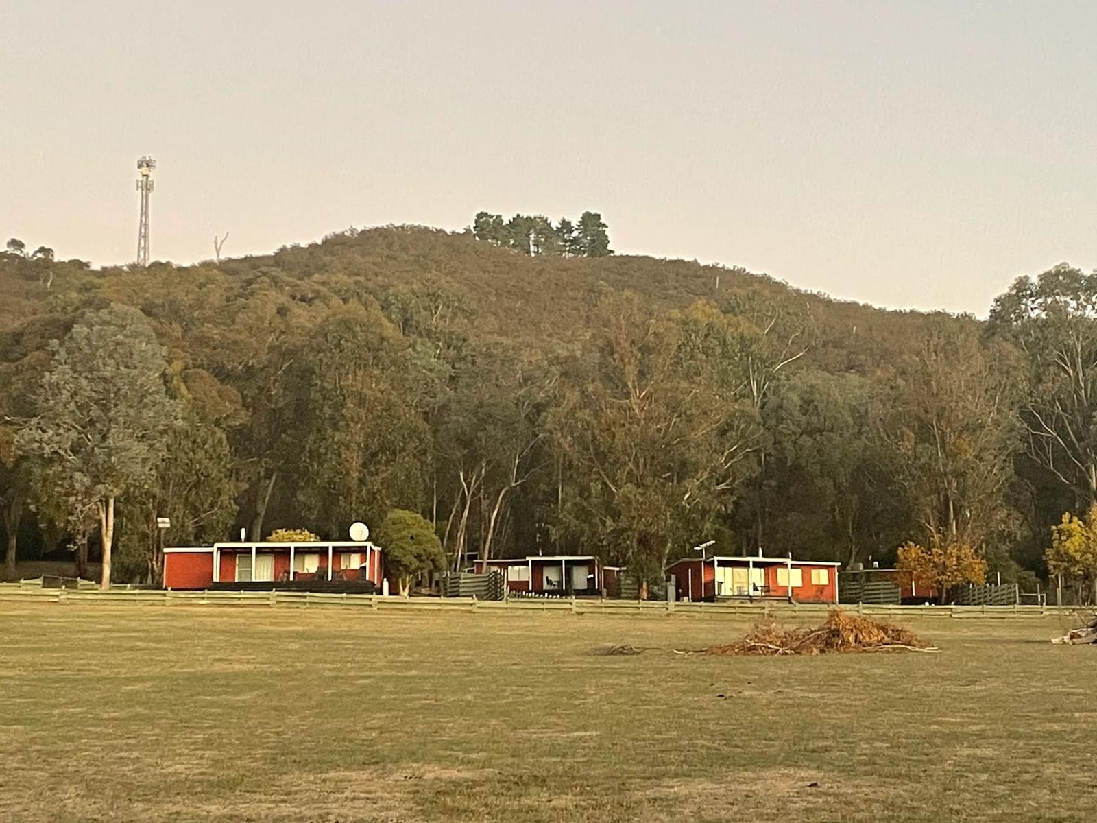 Cottages from Paddock
