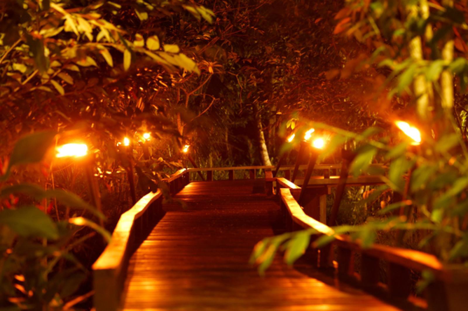 Ginganga Lodge and Thaembili Grove by Ginganga Lodge