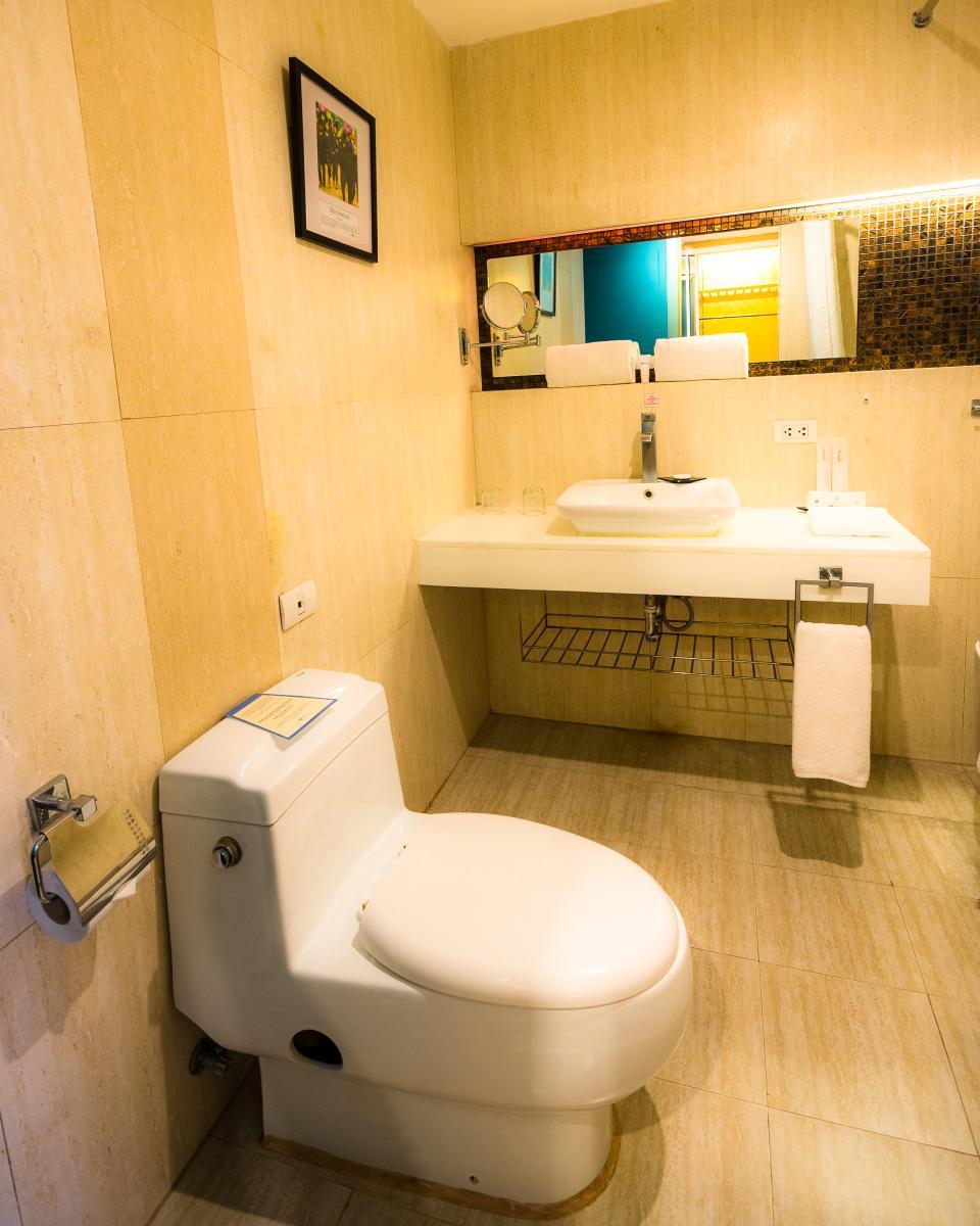 Parklane Plus Room Bath 1