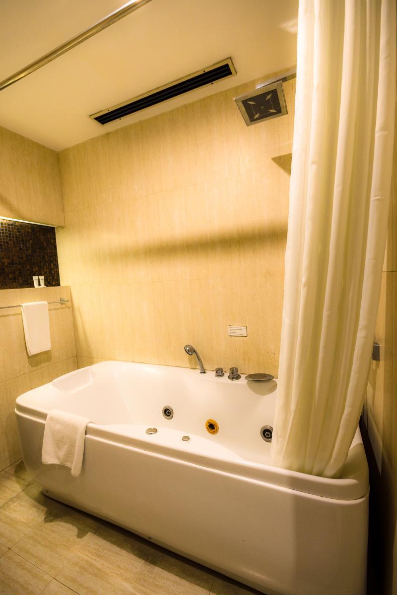 Parklane Plus Room Bath 2