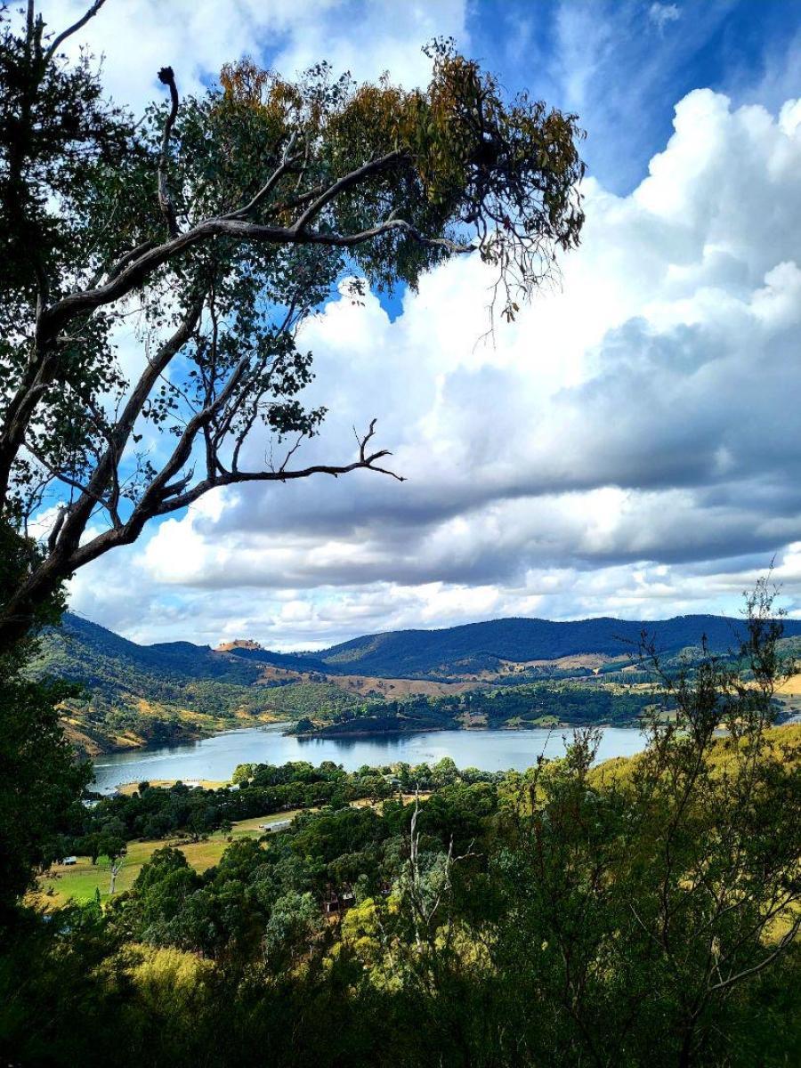 view