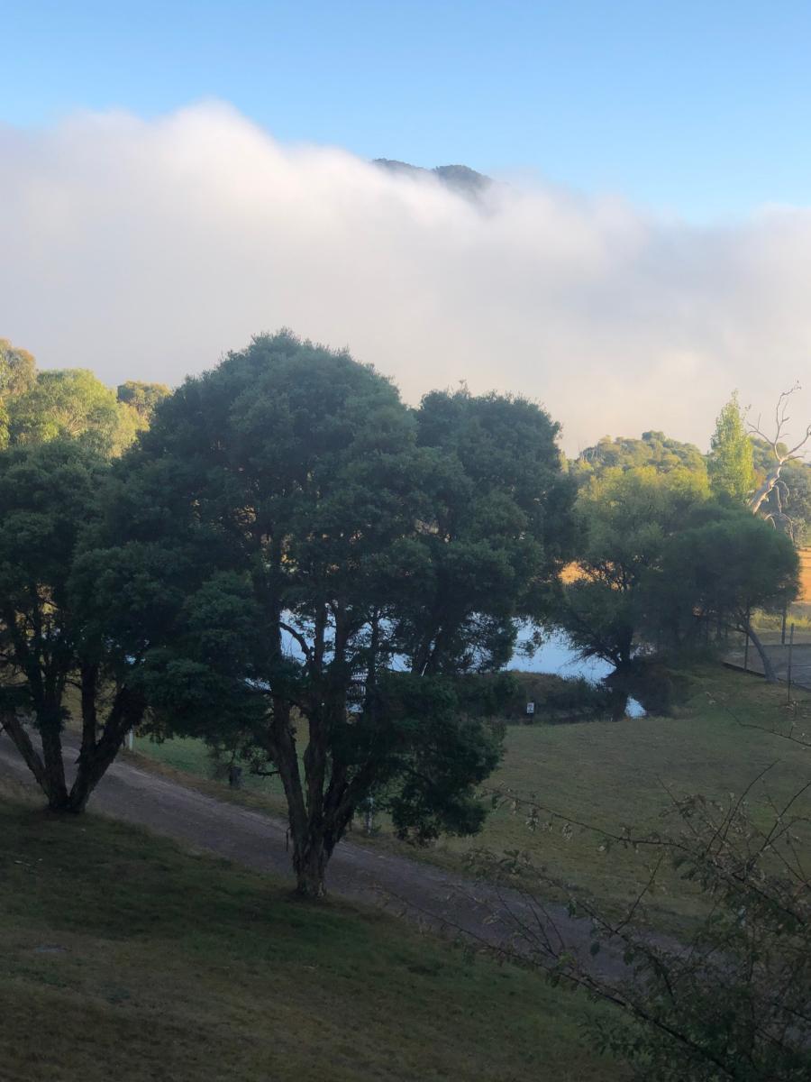 view9