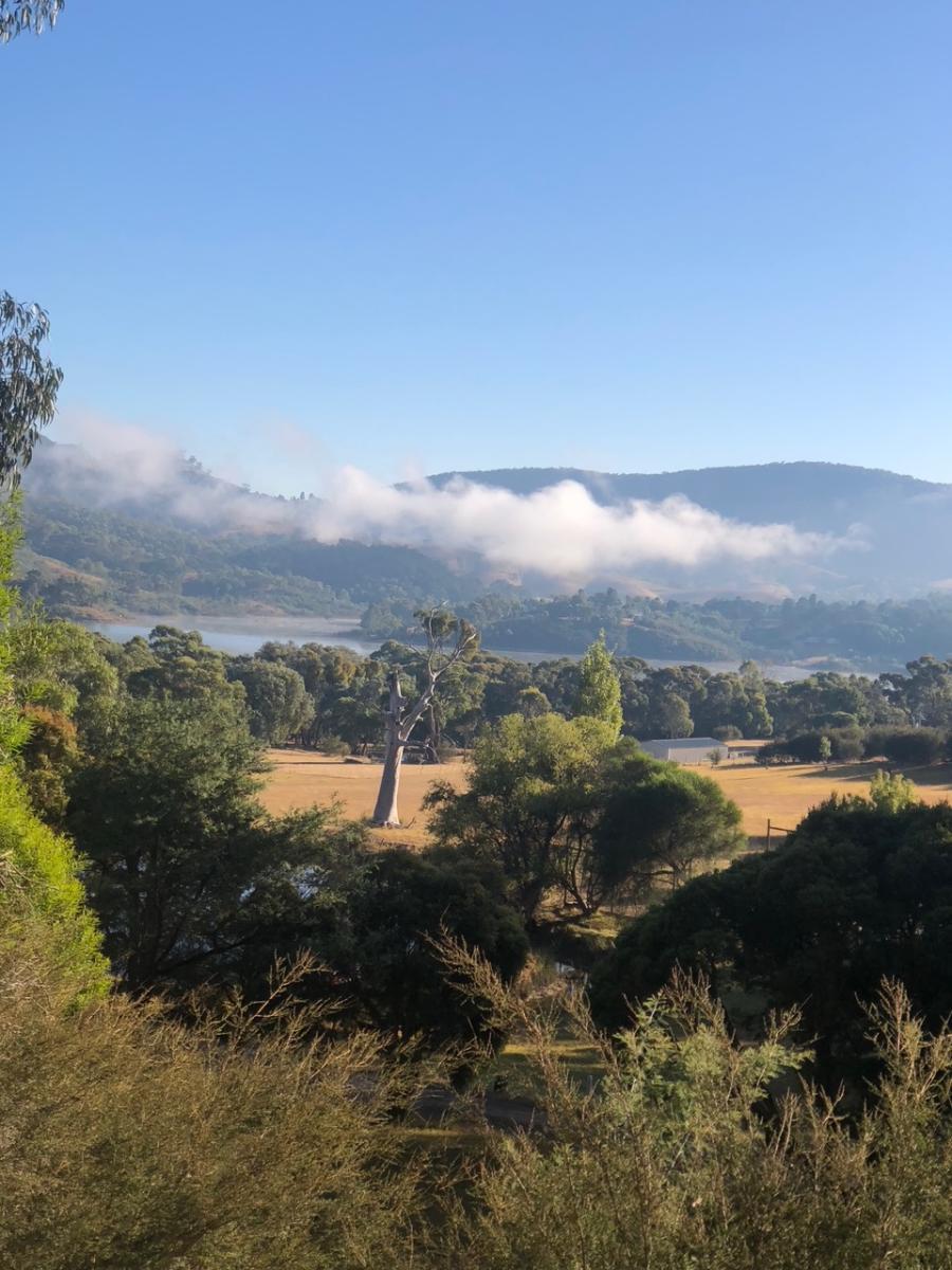 view11