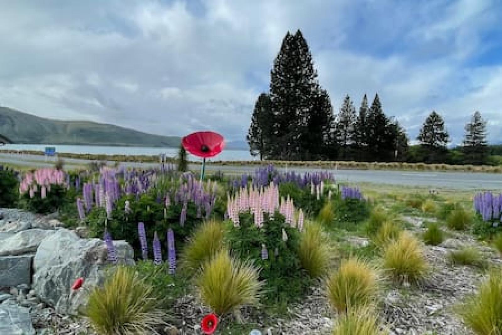 Te Manawa Lakeside Garden- Suite A