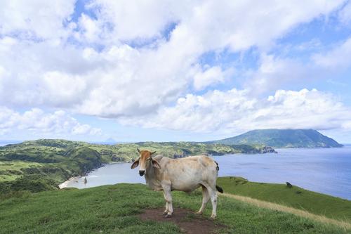 ST_Fundacion+Pacita_Batanes_0205