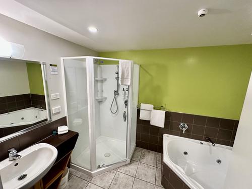 Studio suite bathroom