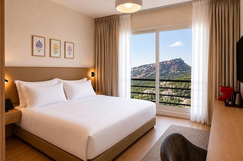 Deluxe King Room